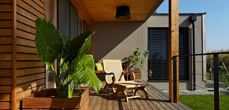 نما-چوبی-ترمووود